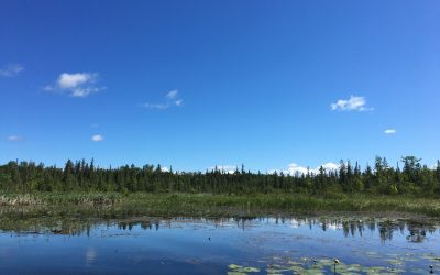 Kawartha Land Trust