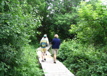 Schipper (Gamiing Nature Centre) Easement