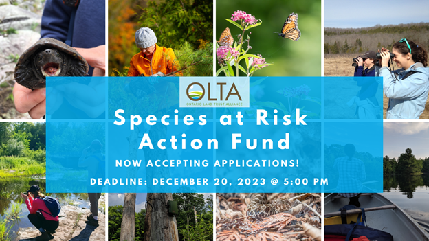 Species at Risk Action Fund promotional image