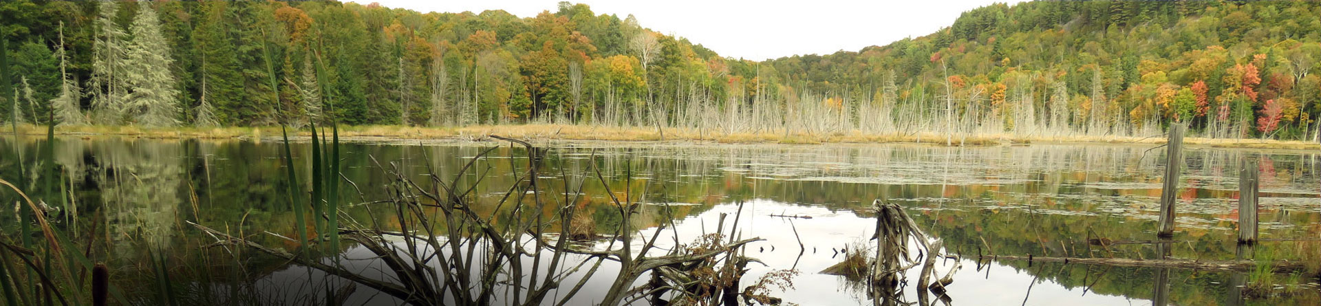 The Haliburton Highlands Land Trust