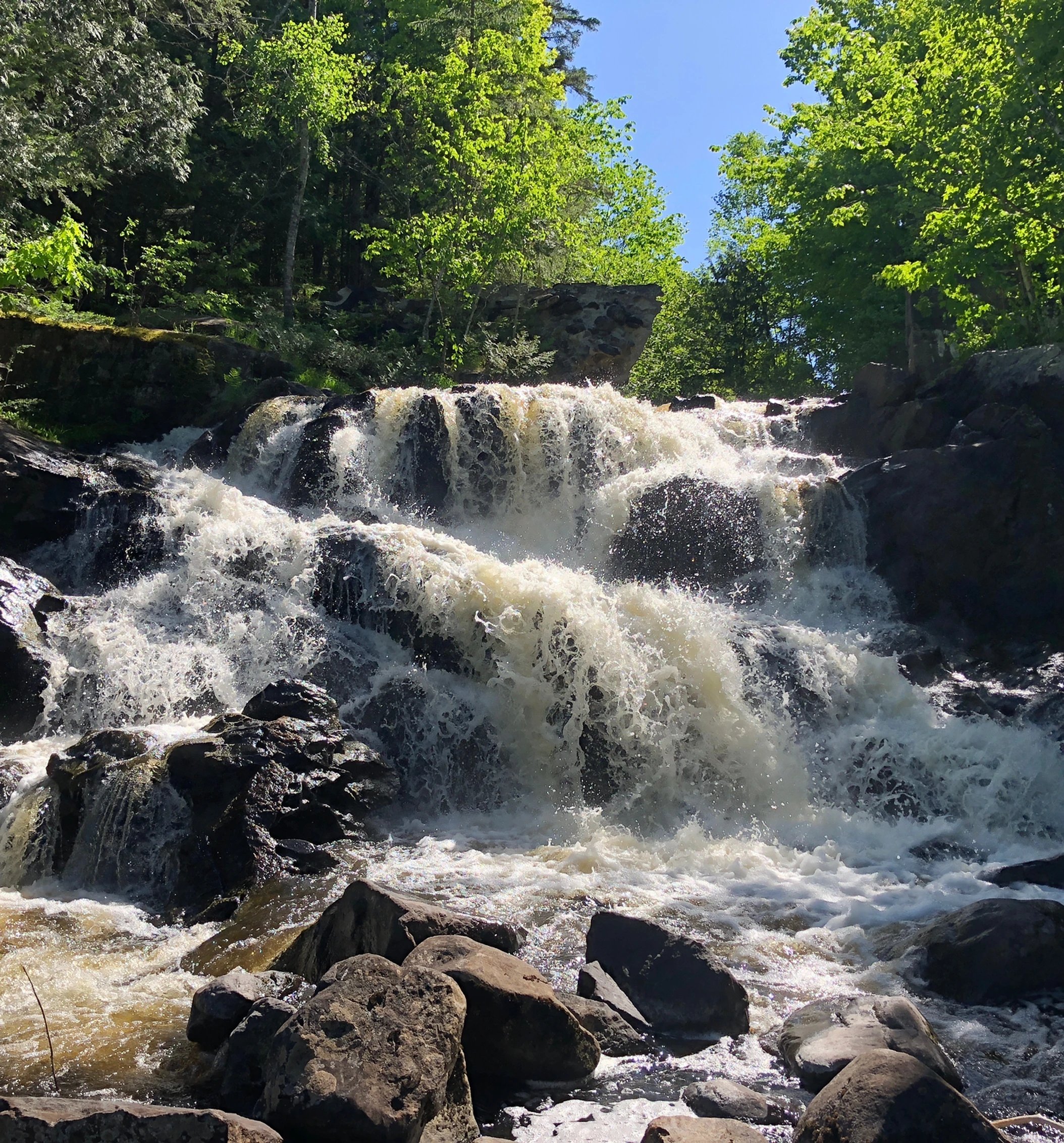 Magnetawan Watershed Land Trust