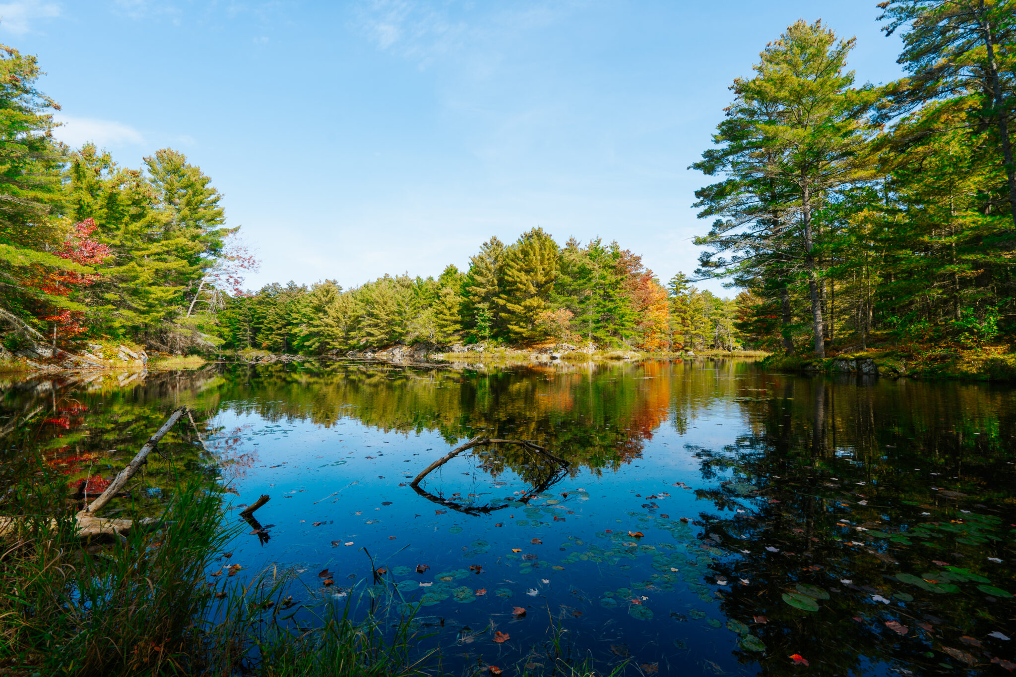 The Couchiching Conservancy