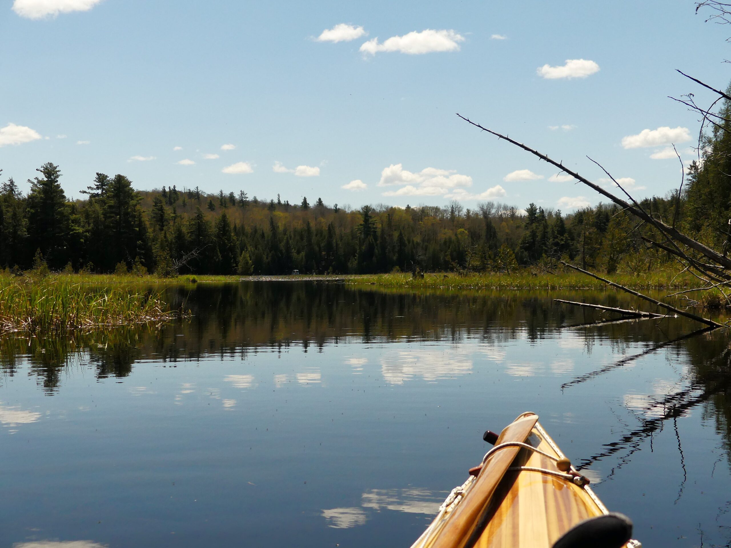 Mississippi Madawaska Land Trust