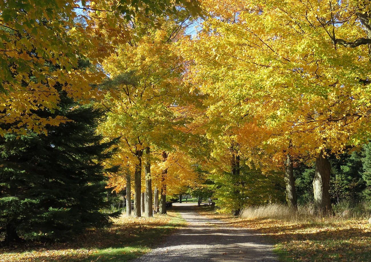 Oak Ridges Moraine Land Trust