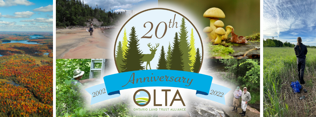 OLTA turned 20 years old July 2, 2022!