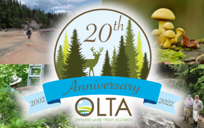 OLTA turned 20 years old July 2, 2022!