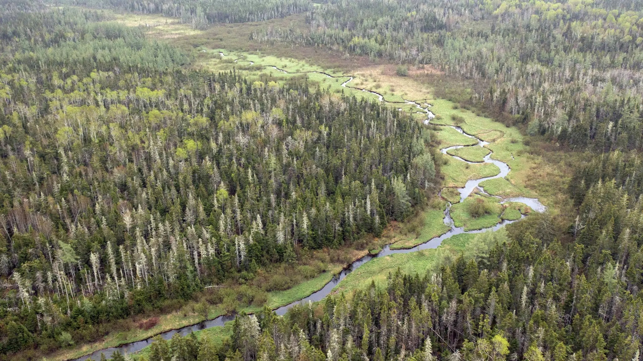 Island Nature Trust