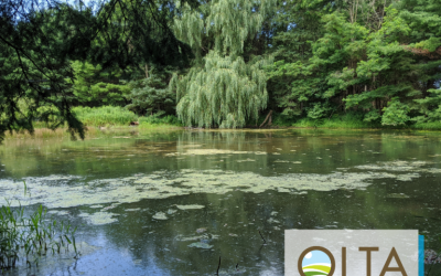 Greenlands Conservation Partnership – Announcement