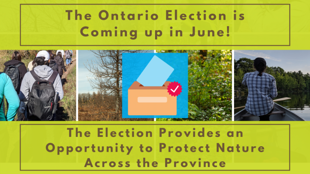 Ontario’s Election is the Opportunity to Protect Nature Across