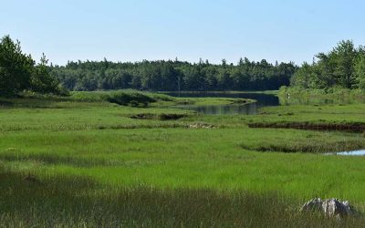 Ontario Land Trust Alliance celebrates massive commitment to land conservation inBudget 2018