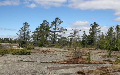 2020 OLTA Digital Gathering – “Courageous Land Conservation”
