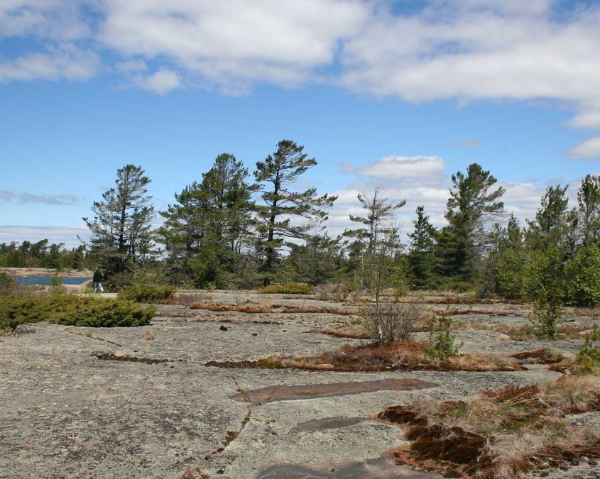 2020 OLTA Digital Gathering – “Courageous Land Conservation”