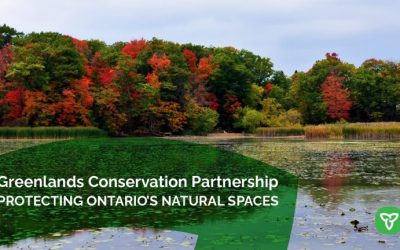 Ontario Expanding the Protection and Preservation of Green Spaces