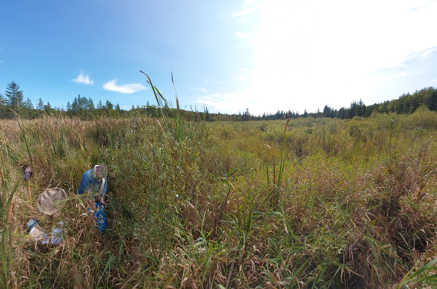 Huronia Land Conservancy