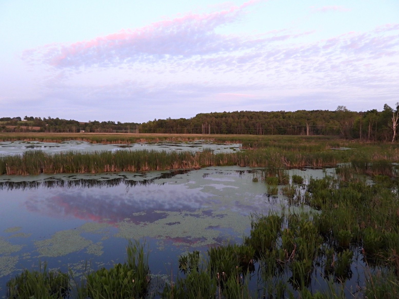 Northumberland Land Trust