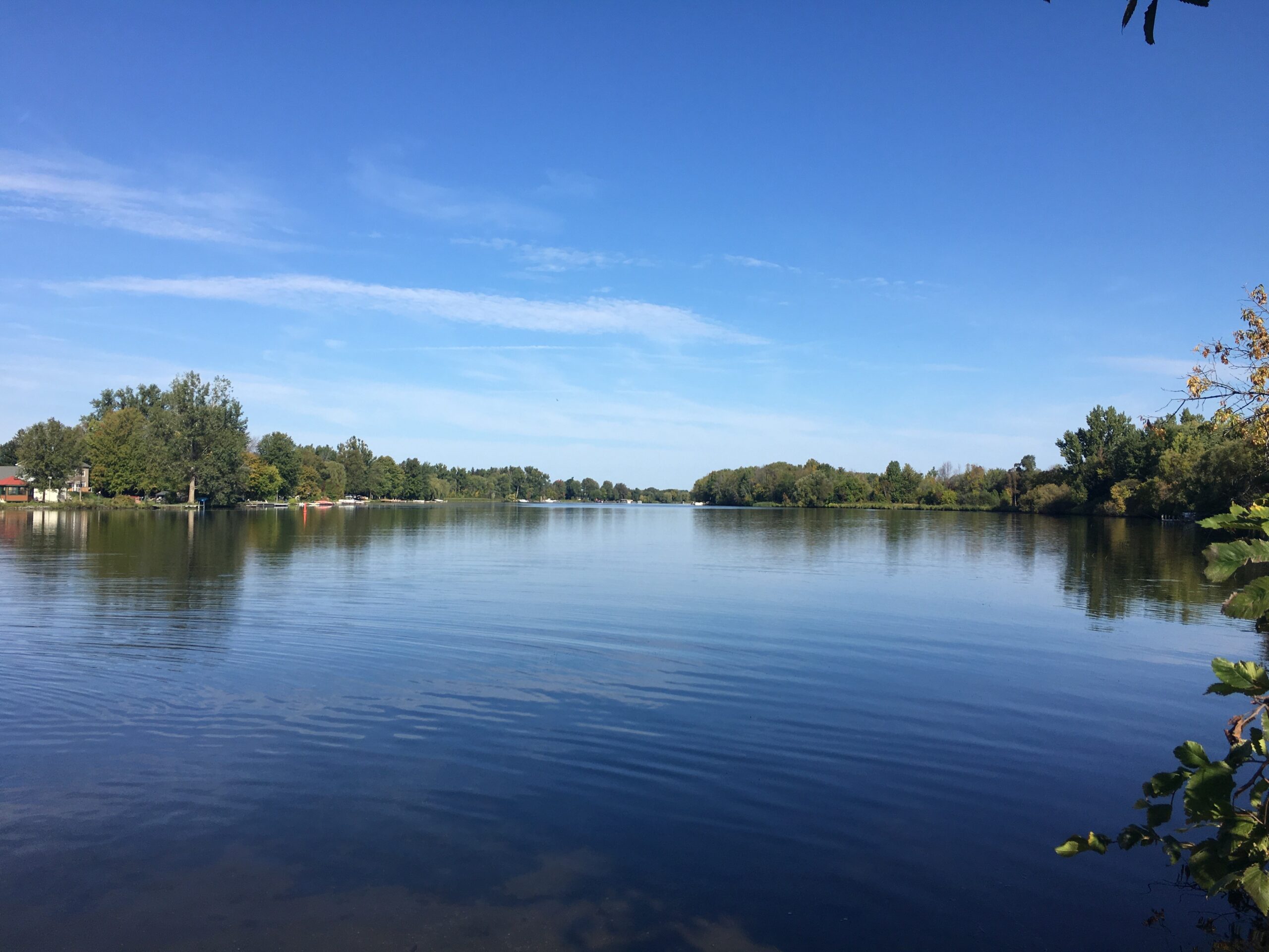 Rideau Valley Conservation Foundation