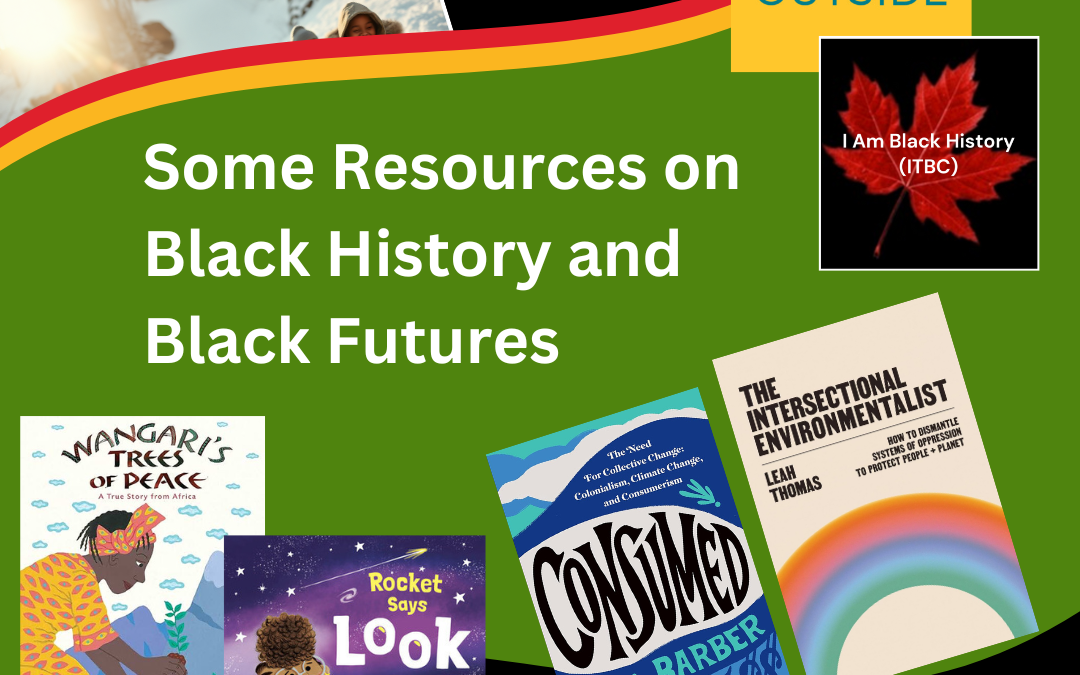 What are you reading this Black History Month?