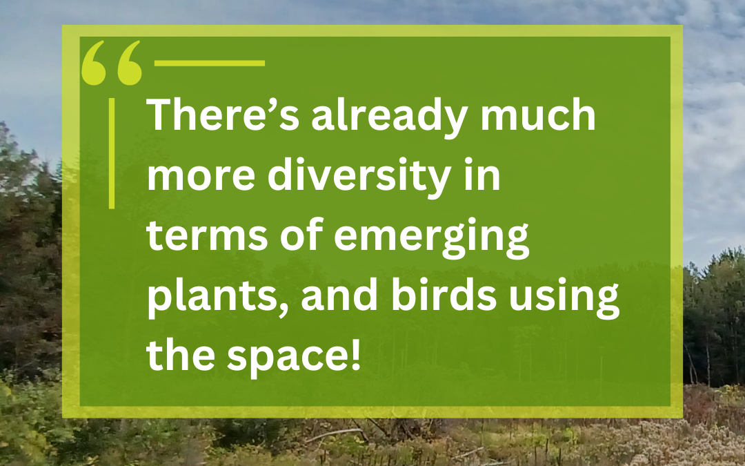 Restoring Habitat with the Species At Risk Action Fund