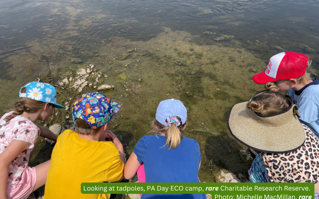 Every Child Outdoors at rare Charitable Research Reserve