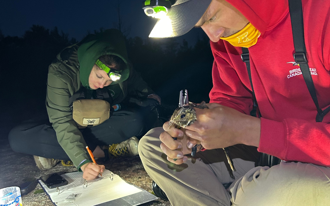 Leading Research at Georgian Bay Land Trust