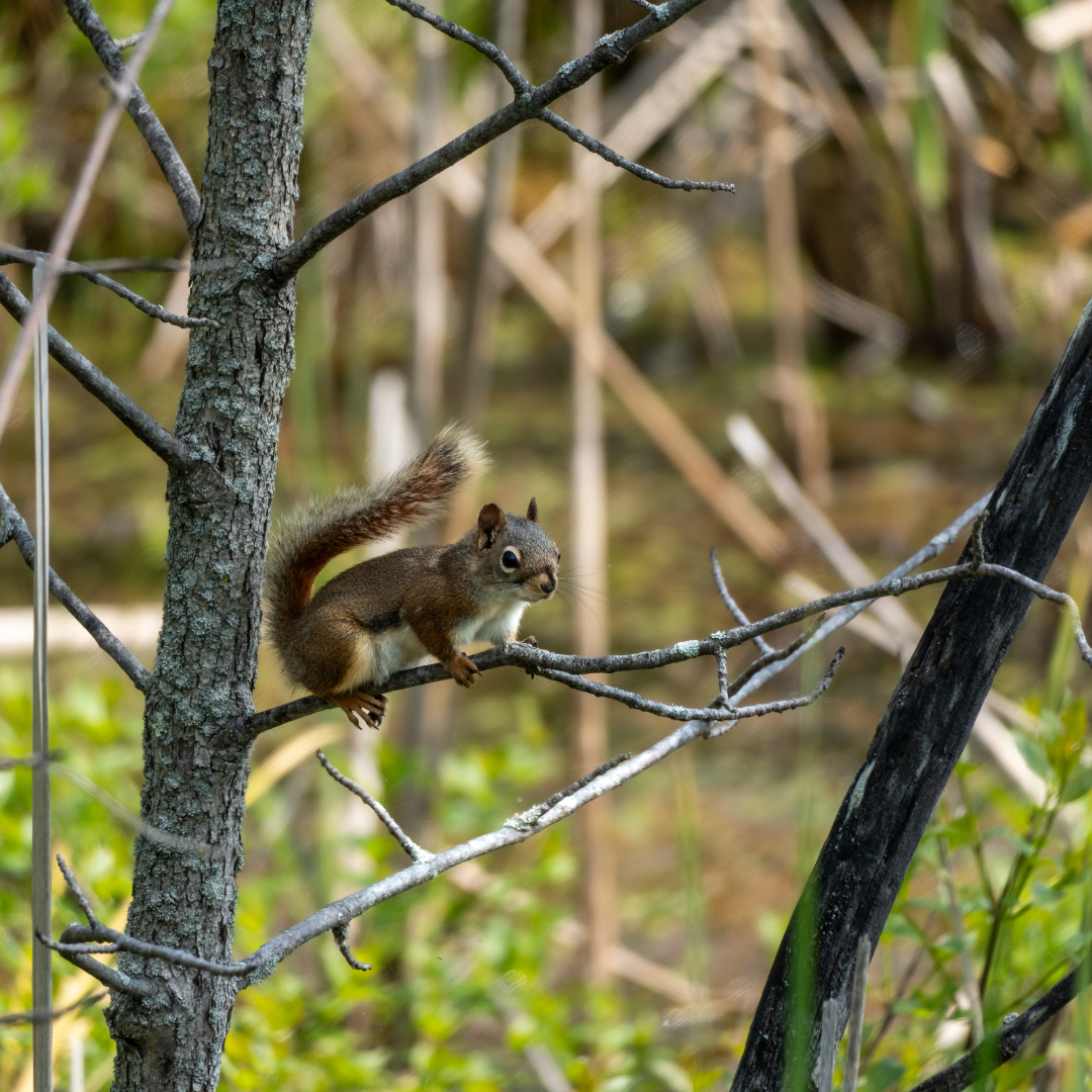 Education and Training