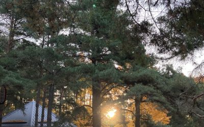 Supporting Indigenous Land Conservation through Land Trusts: during National Indigenous History Month and throughout the year