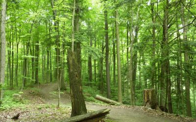 Celebrating the Greenlands Conservation Partnership