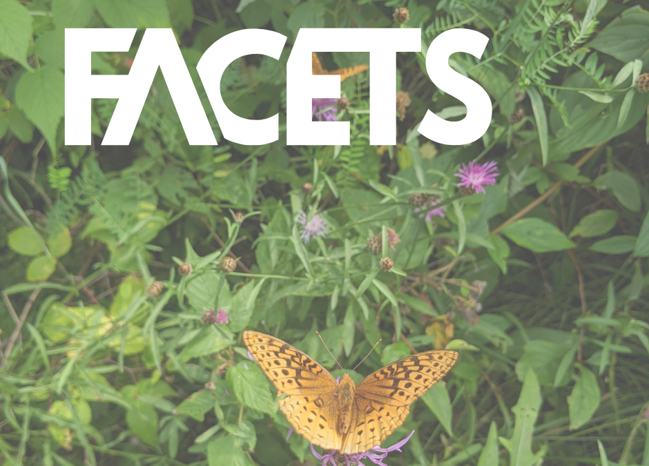 Read all about it! Helping Land Trusts Prepare for a New Climate, in Facets Journal