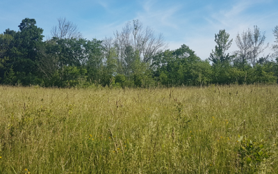 Drafting Conservation Easement Agreements