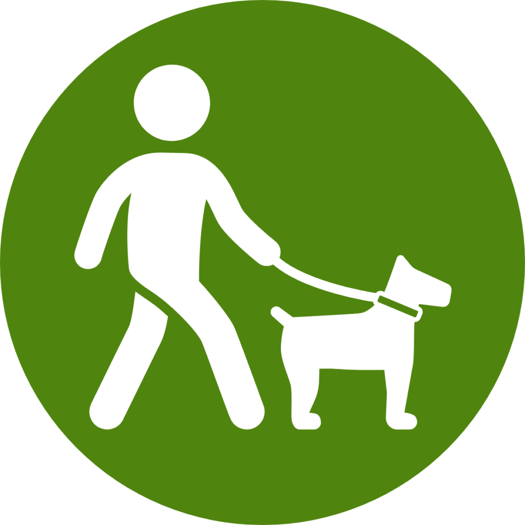 Dog walking
