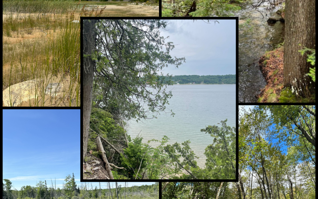 We did it together: A monumental win for Nature!