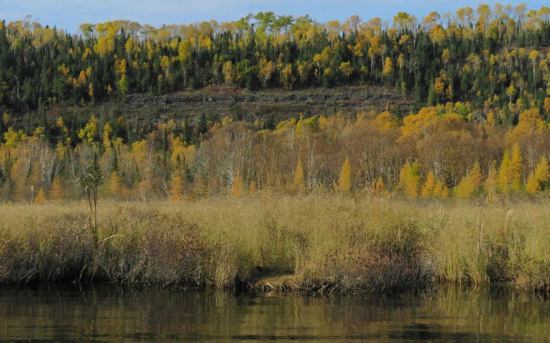 Thunder Bay Field Naturalists Celebrate Major Addition to Caldwell Lake Nature Reserve
