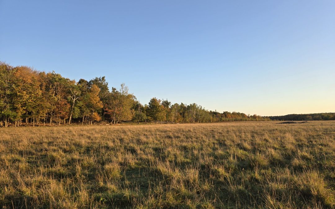 The Escarpment Biosphere Conservancy Protects Key Wildlife Corridor on the Saugeen Bruce Peninsula with new Wildhaven Nature Preserve