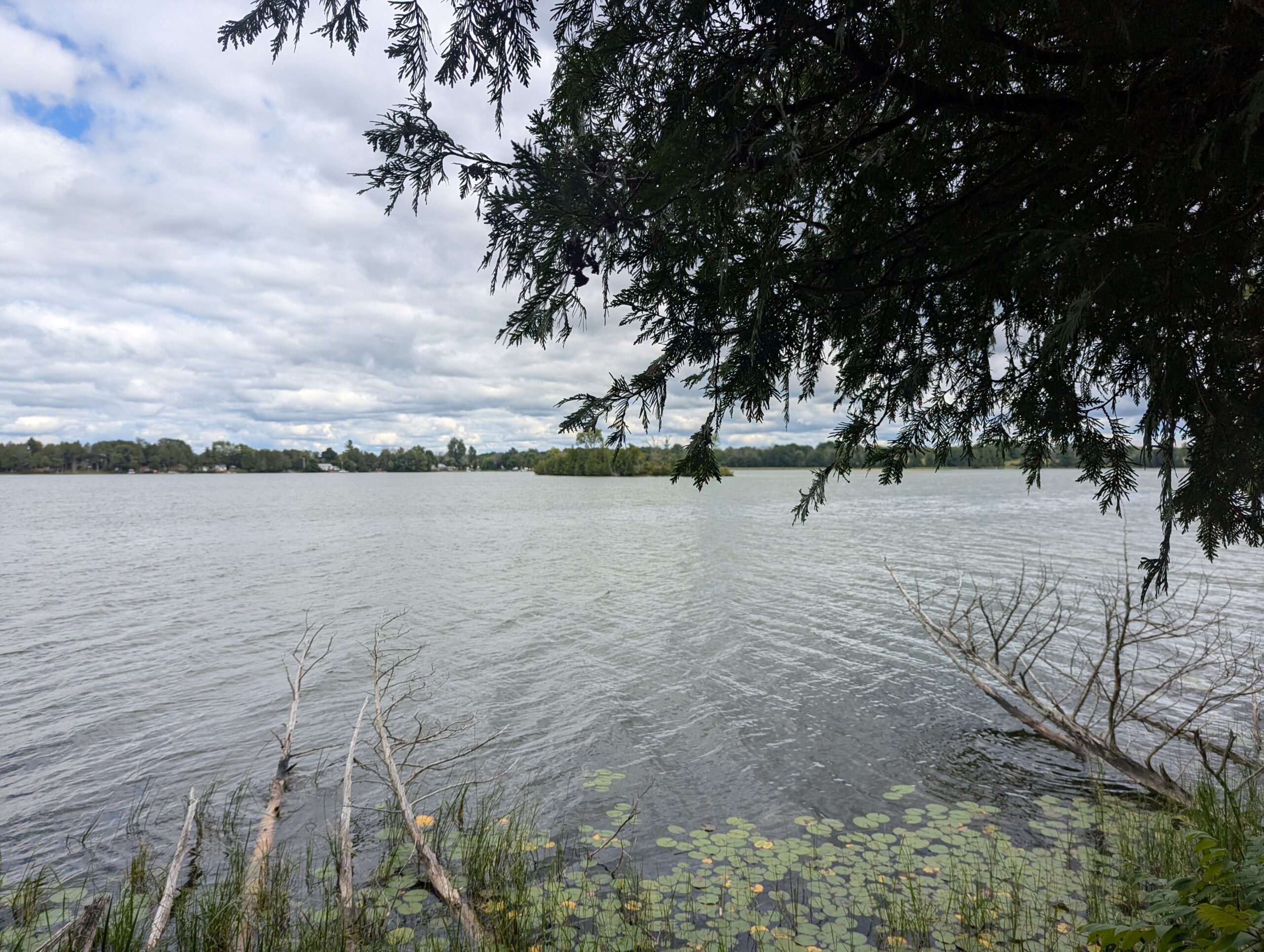 Varty Lake