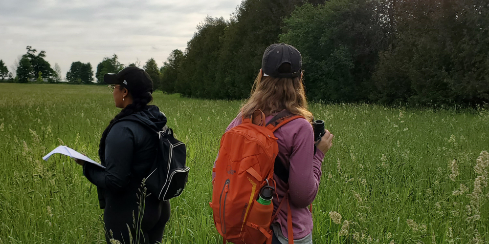 Celebrating Ten Years of Protecting Species at Risk in Ontario: OLTA’s Conserving Species at Risk program (CSAR)
