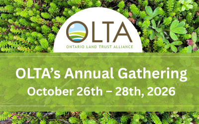 OLTA’s Annual Gathering