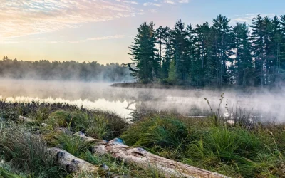 Muskoka Conservancy