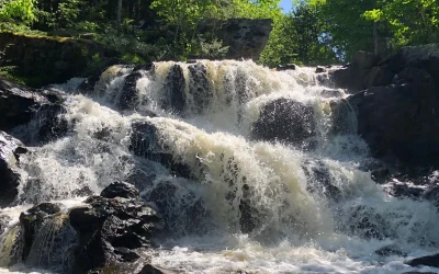 Magnetawan Watershed Land Trust