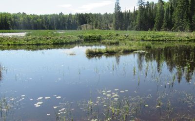 Central Algoma Land Trust