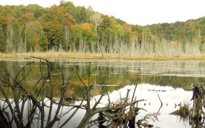 The Haliburton Highlands Land Trust