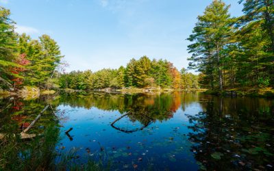The Couchiching Conservancy