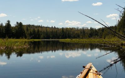 Mississippi Madawaska Land Trust