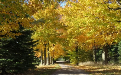 Oak Ridges Moraine Land Trust
