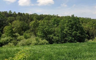 Bruce Trail Conservancy