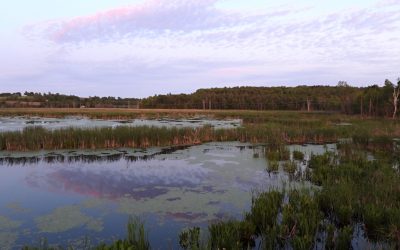 Northumberland Land Trust