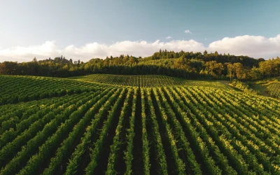 Ontario Farmland Trust