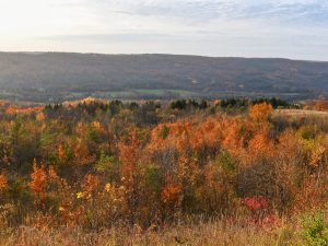 Eagles' Summit, B. Henry