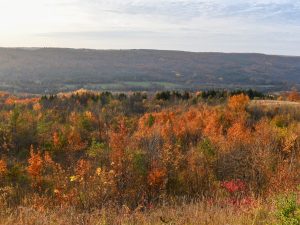 Eagles' Summit, B. Henry