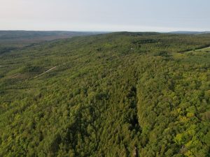 Escarpment Corridor Alliance Land Trust (3)