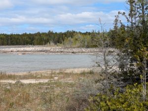 PXL_20250531_150041356